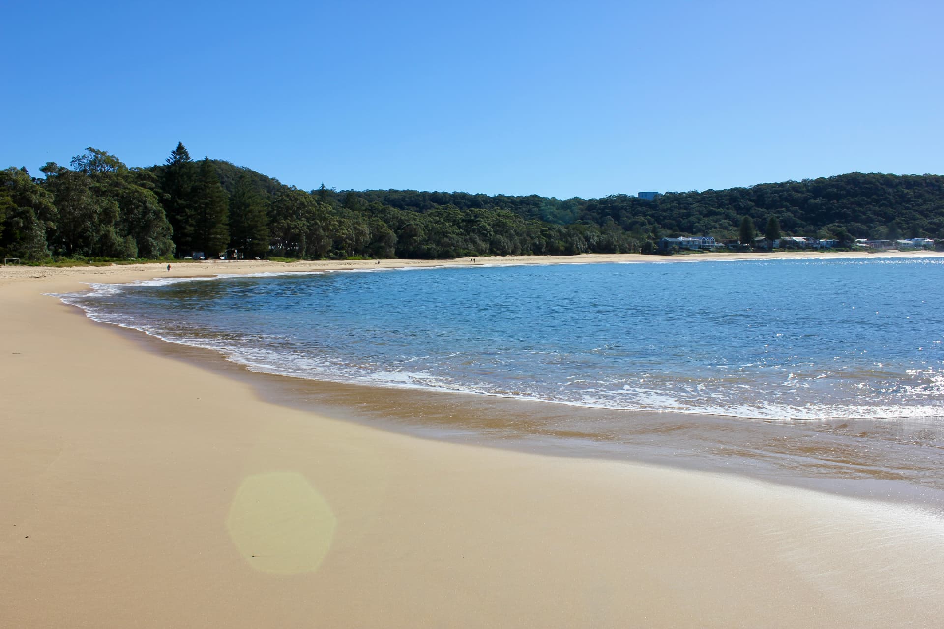 Wide curve of Pearl Beach with clear blue water lapping the sand and bushland headland behind