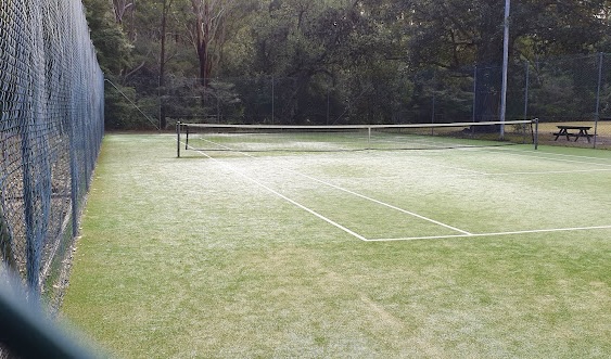 The grass tennis court at Pearl Beach, fenced and surrounded by bushland with a picnic table beside it