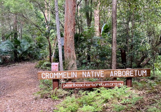 Timber Crommelin Native Arboretum sign at the entry track, surrounded by ferns and bushland