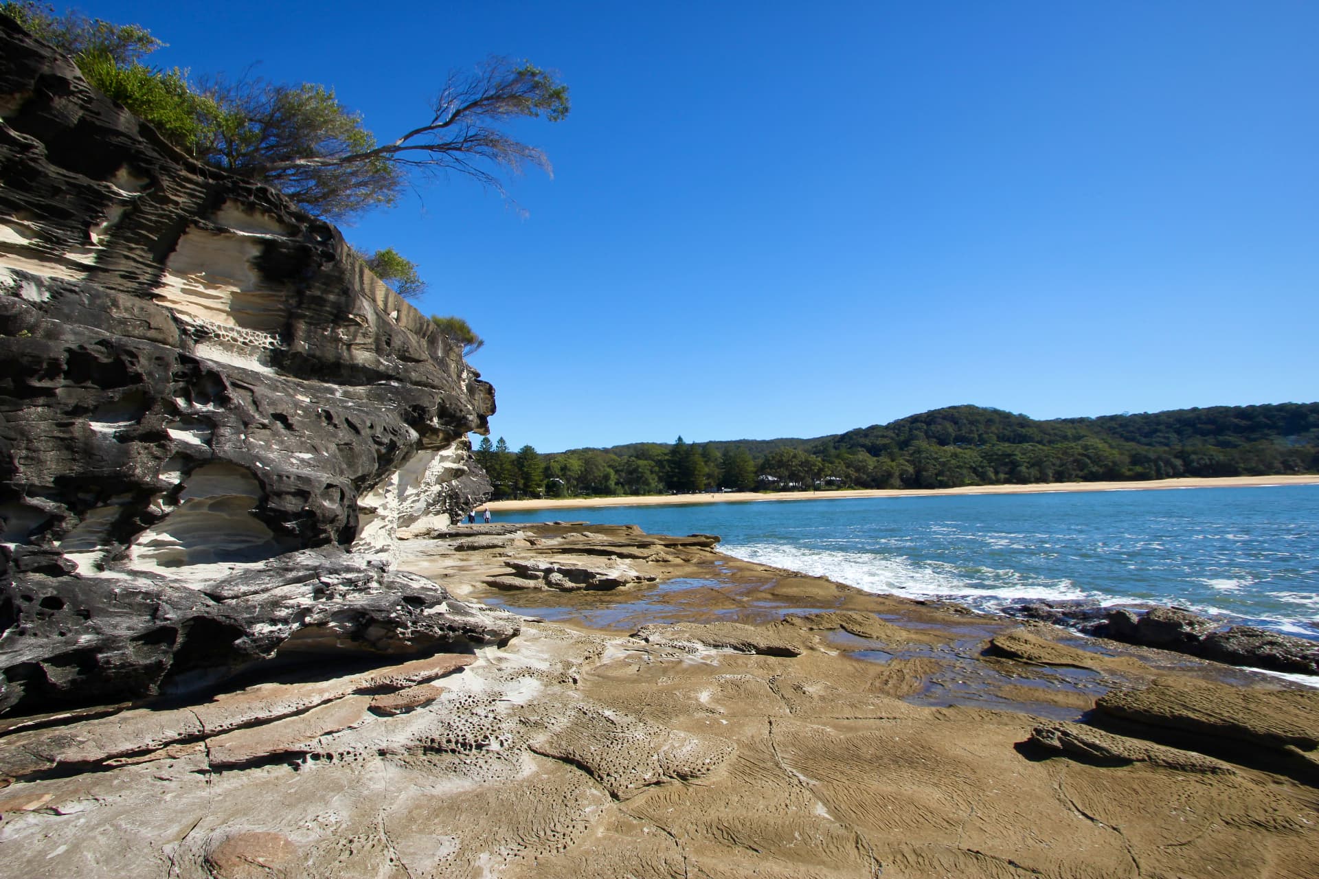 Weathered sandstone cliff and rock shelf on the walk around to Pearl Beach
