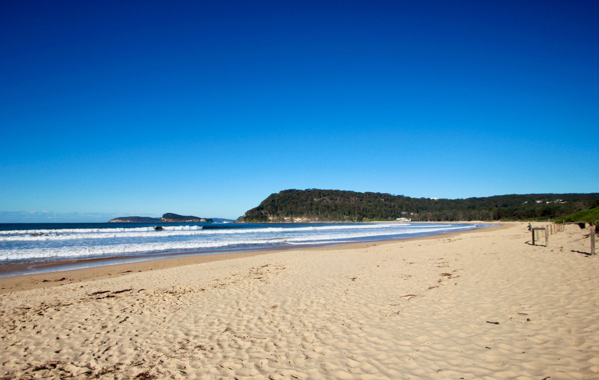 The long sweep of Umina Beach with waves breaking and a green headland in the distance