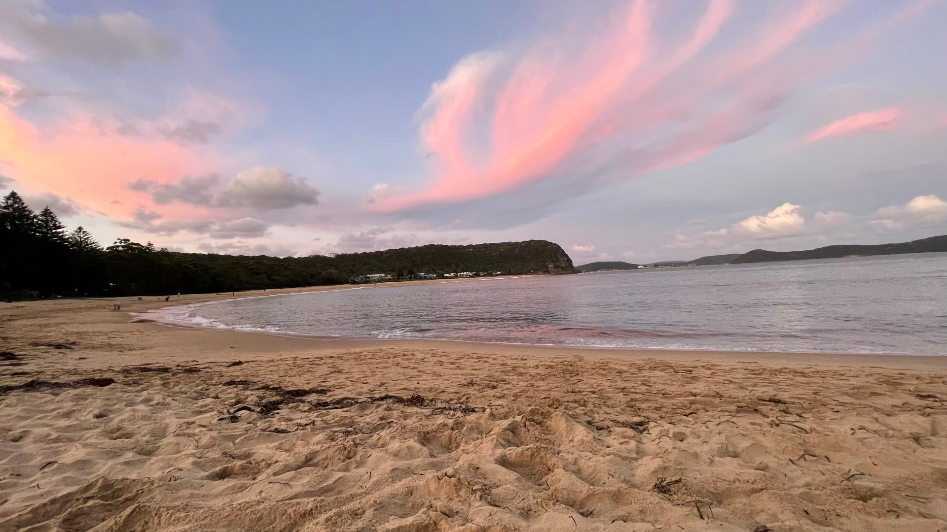 Pink sunset clouds over Pearl Beach with golden sand, calm water and the headland beyond